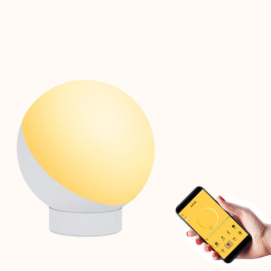 Lamp remote voice control Oberlo
